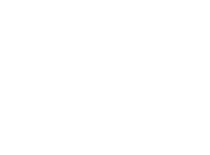 Logo Aris